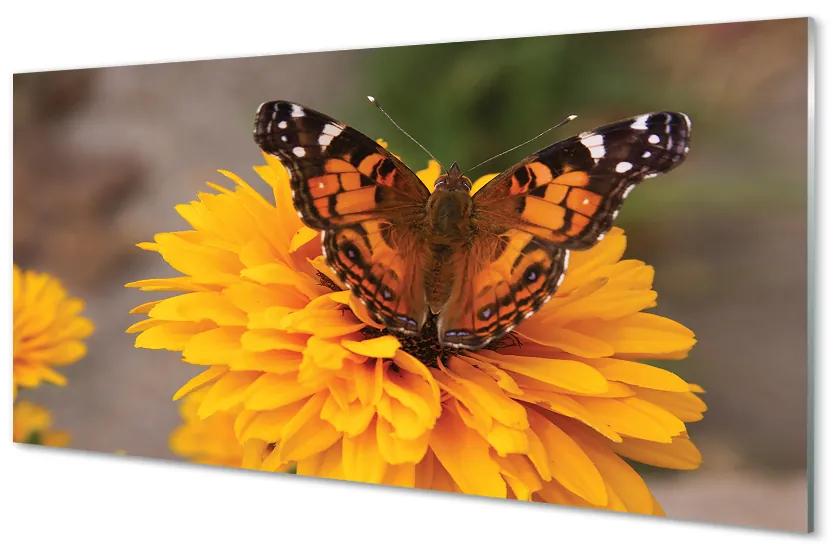 Üvegképek Színes pillangó virág 140x70 cm