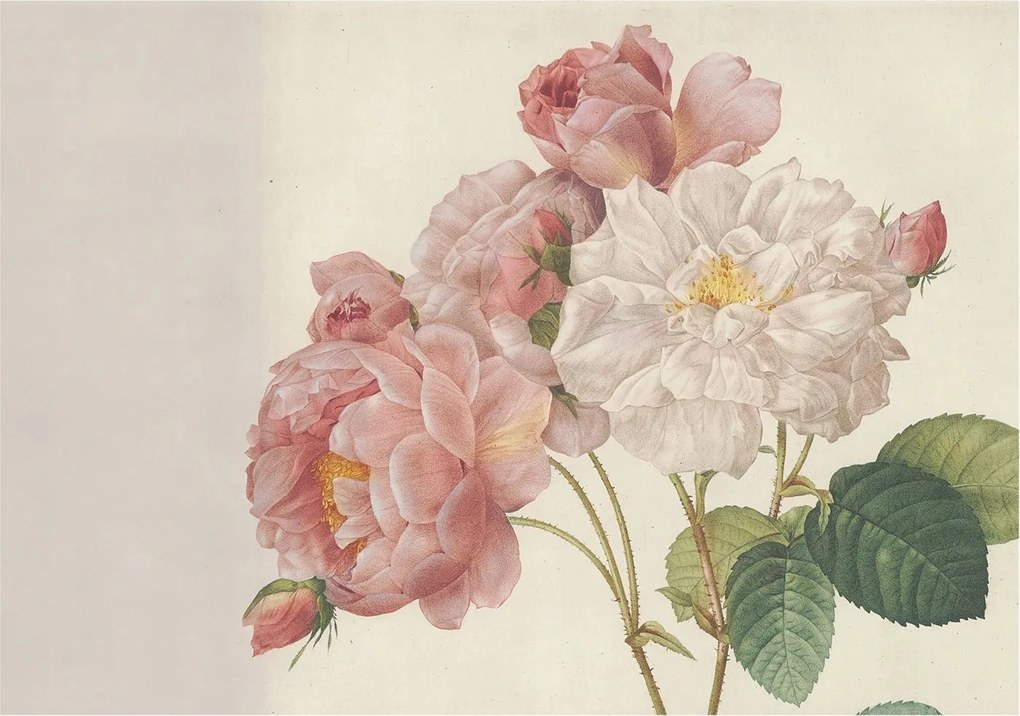 Fotótapéta Flizelin Fal a Hálószobába Romantikus rózsák 208x146 Ragasztó