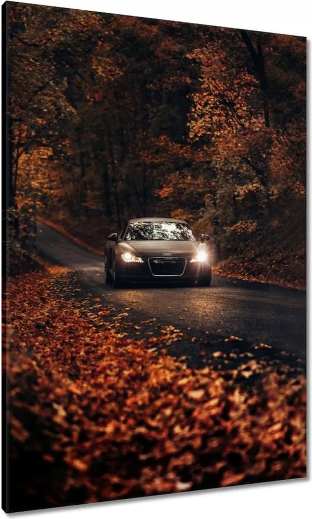Vászonkép 70x100 Audi Őszi tájkép