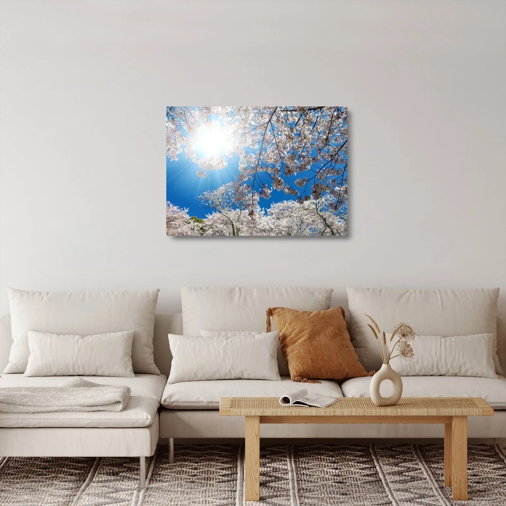 Kép - Cseresznyevirág (üvegen) (70x50 cm)