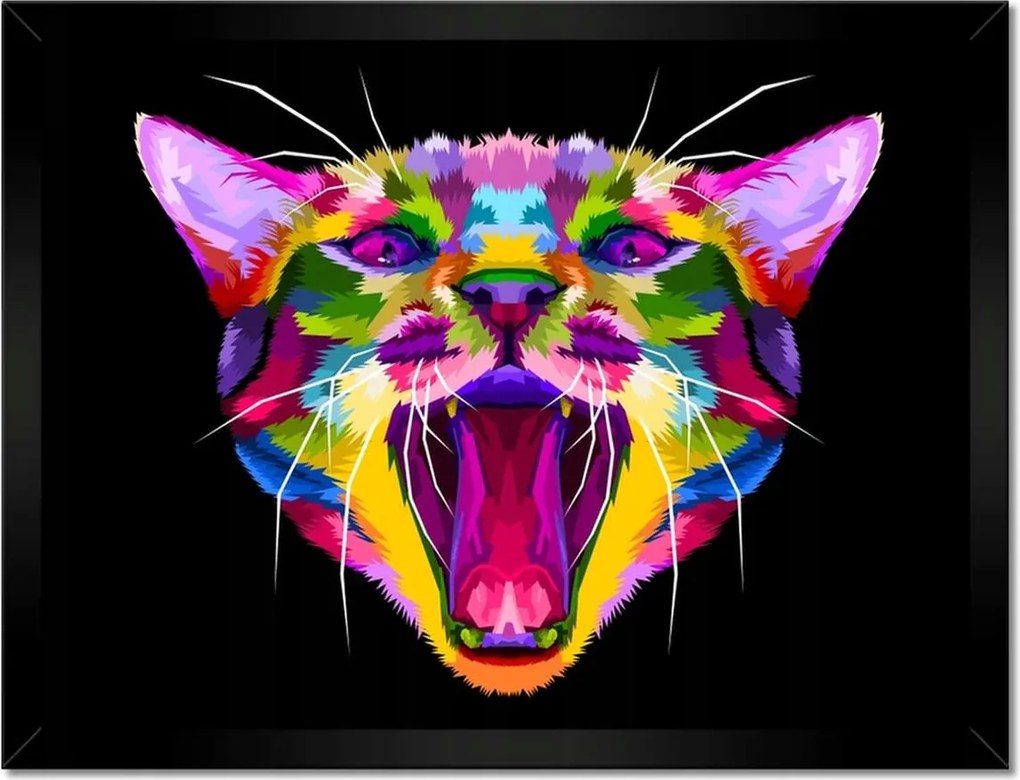 Poszterek keretben 40x30 Absztrakt macska