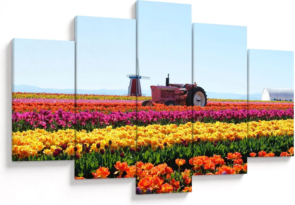 Tulipánfarm képe (150x105 cm)