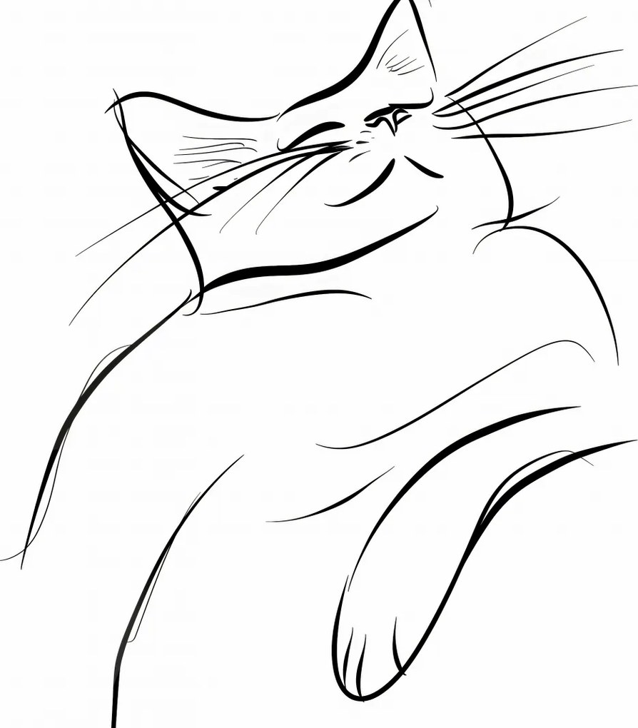 Poszter 70x70cm Macskaelégedettség vázlat