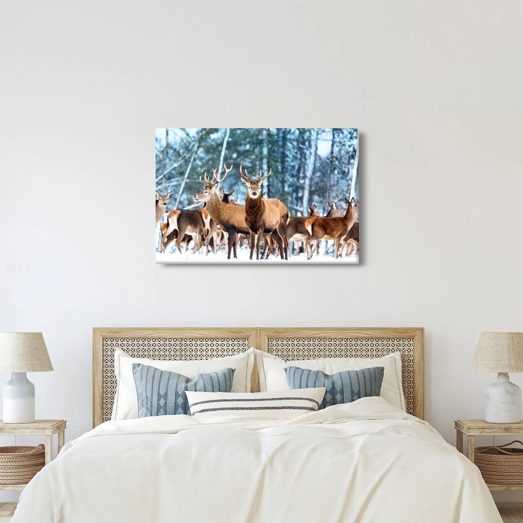Kép - Szarvas csorda (90x60 cm)