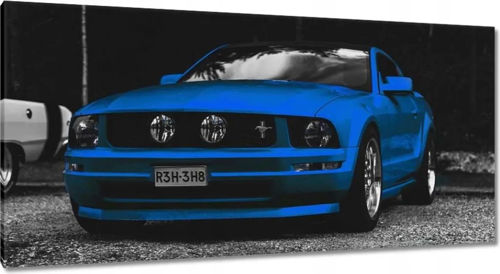 Képek 115x55 Kék Ford Mustang