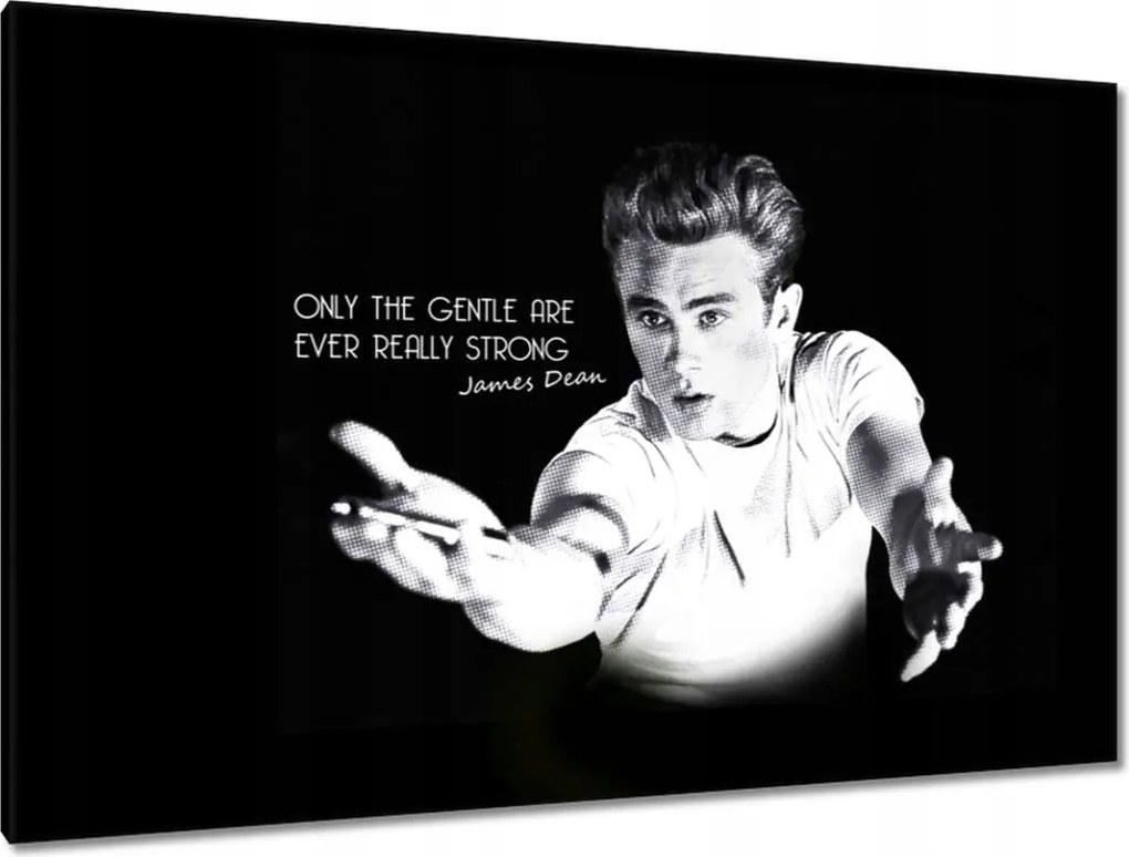 Festmények 120x80 James Dean