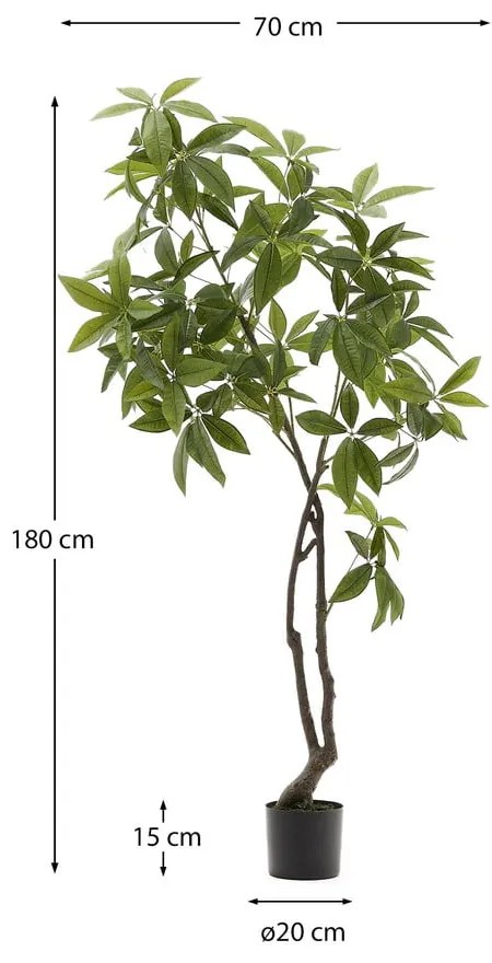 Műnövény (magasság 180 cm) Pachira – Kave Home