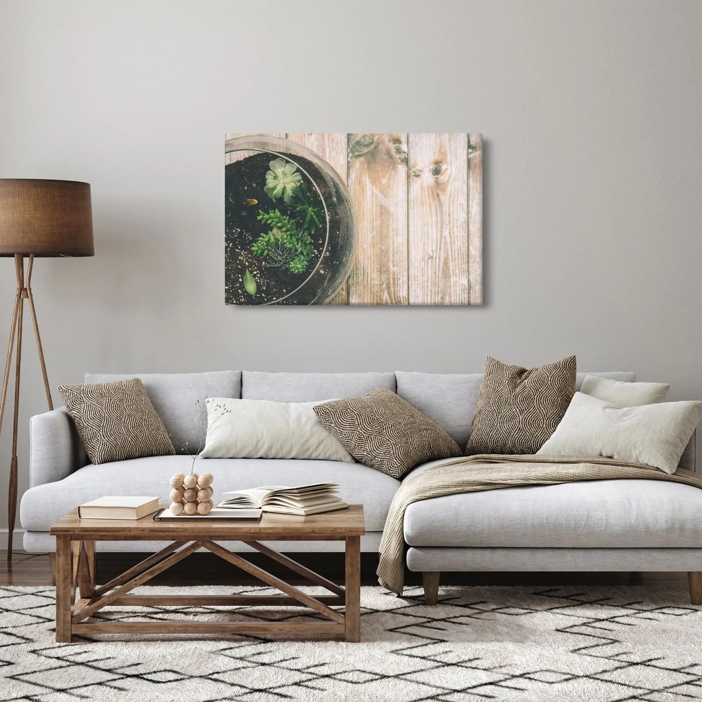 A pozsgás növények képe üvegben (90x60 cm)