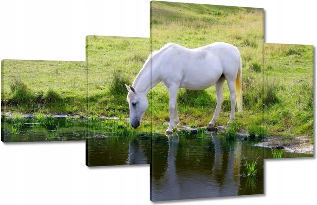 Vászonkép 130x80 Fehér ló