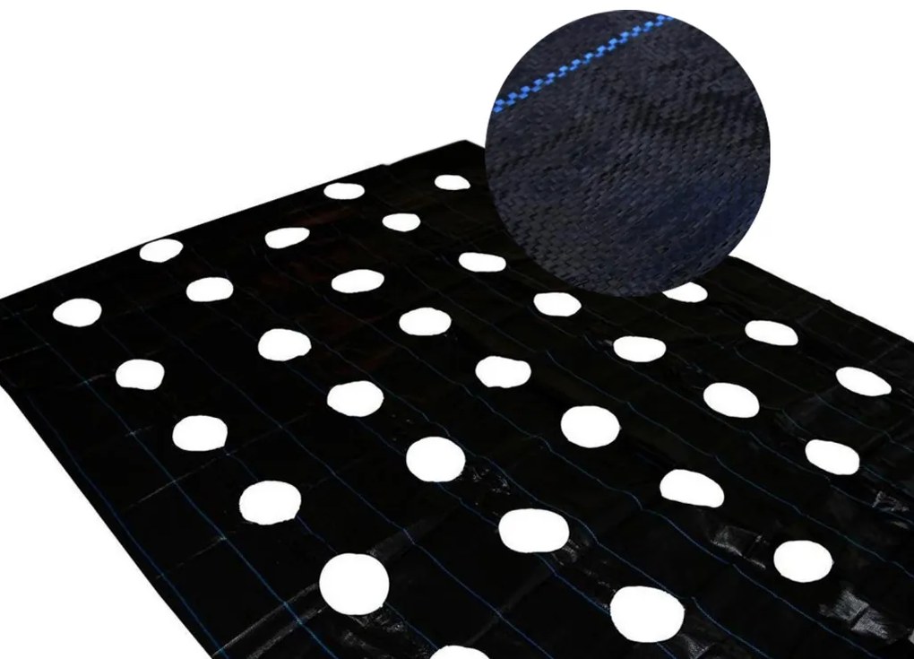 Agroszövet lyukakkal 2,2x10m 90g/m2