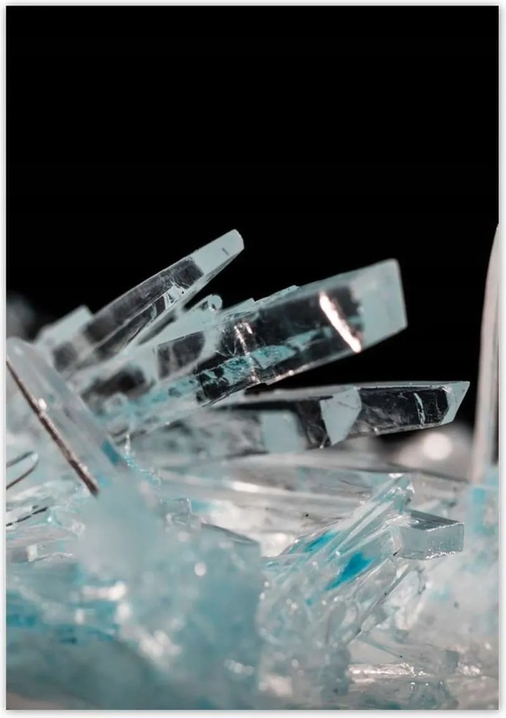 Poszterek 70x100 Makrofotó MacroFoto