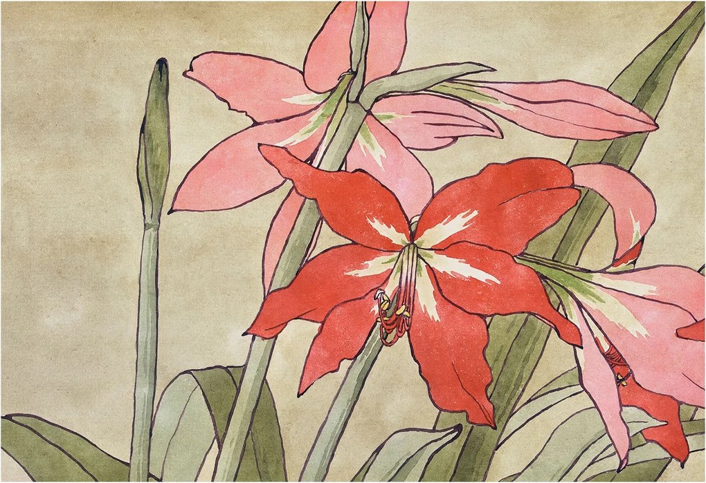 Flizelina Dekoratív Fotótapéta Hálószobába Liliom virágok 152x104 Ragasztó