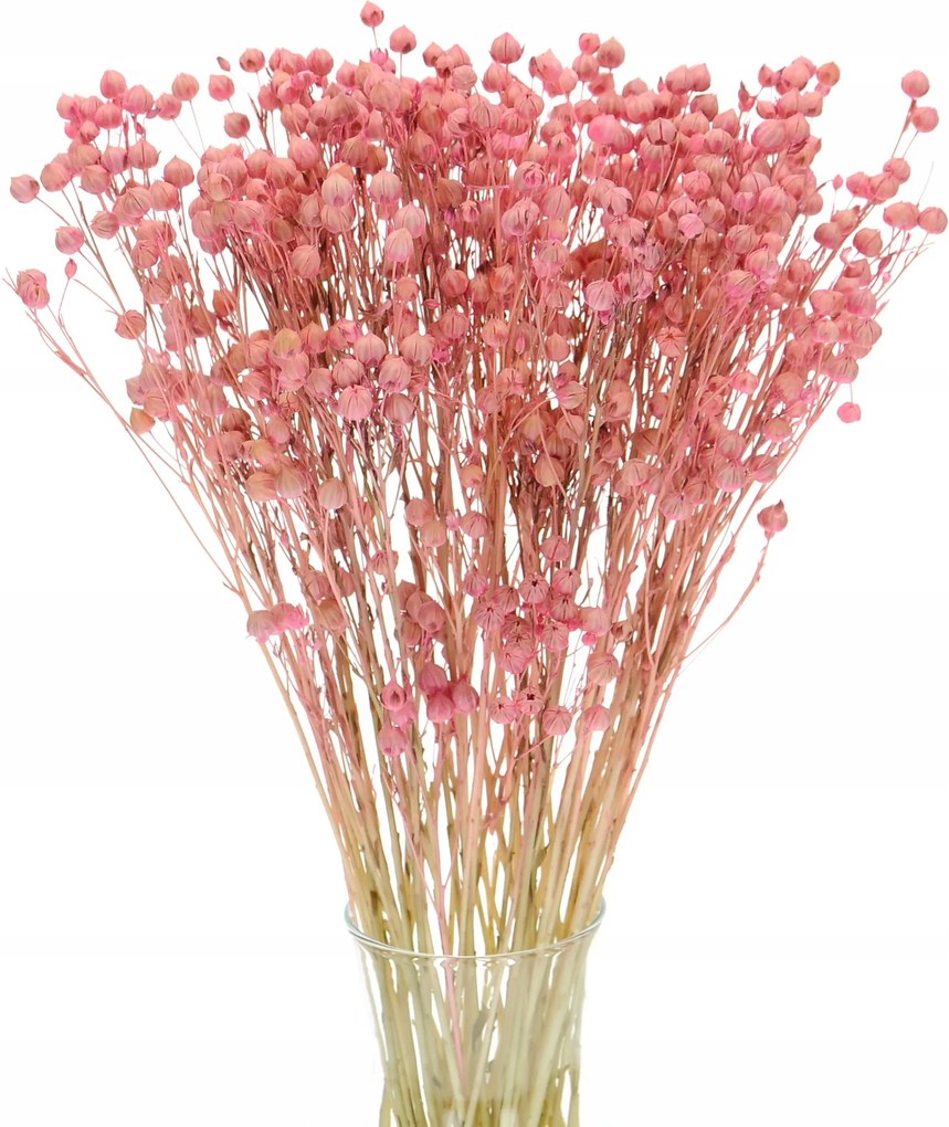 Szárított len rózsaszín csokor szárított virágok