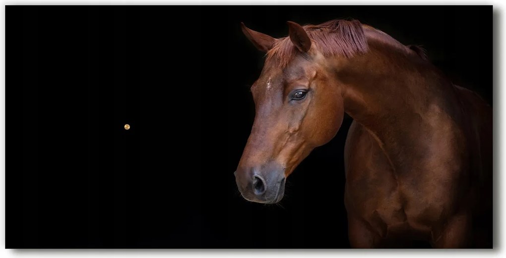 Modern üveg falióra Barna ló 60x30