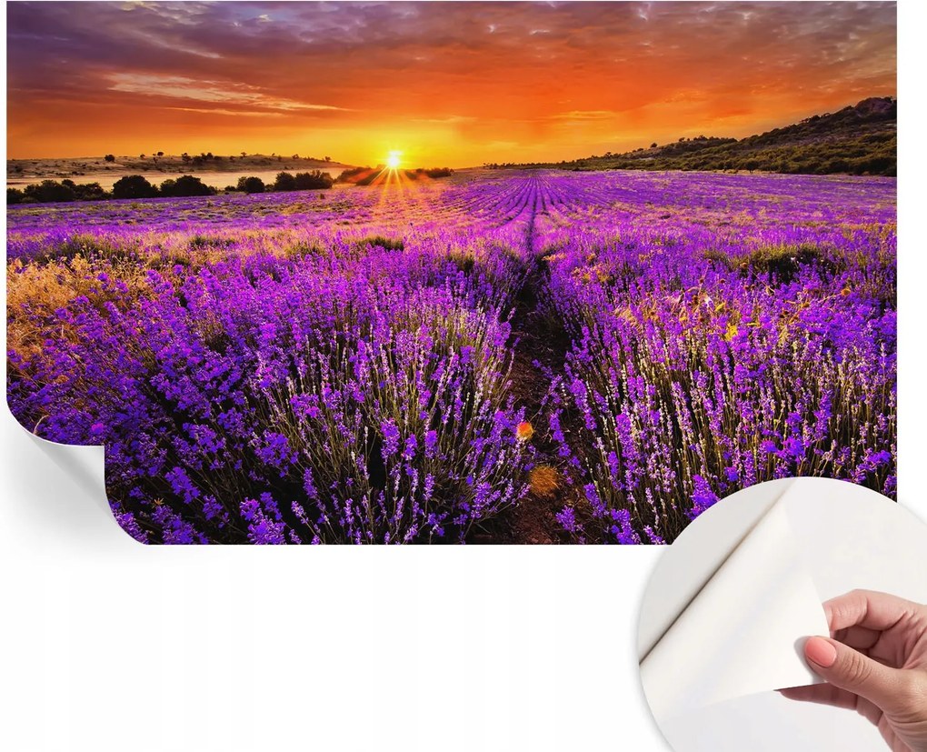Modern öntapadós fali fotótapéta Levendula nyugat 416x254 cm