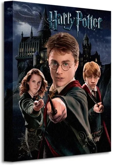 Vászonkép Harry Potter (Harry Ron Hermione) 30x40cm WDC92242