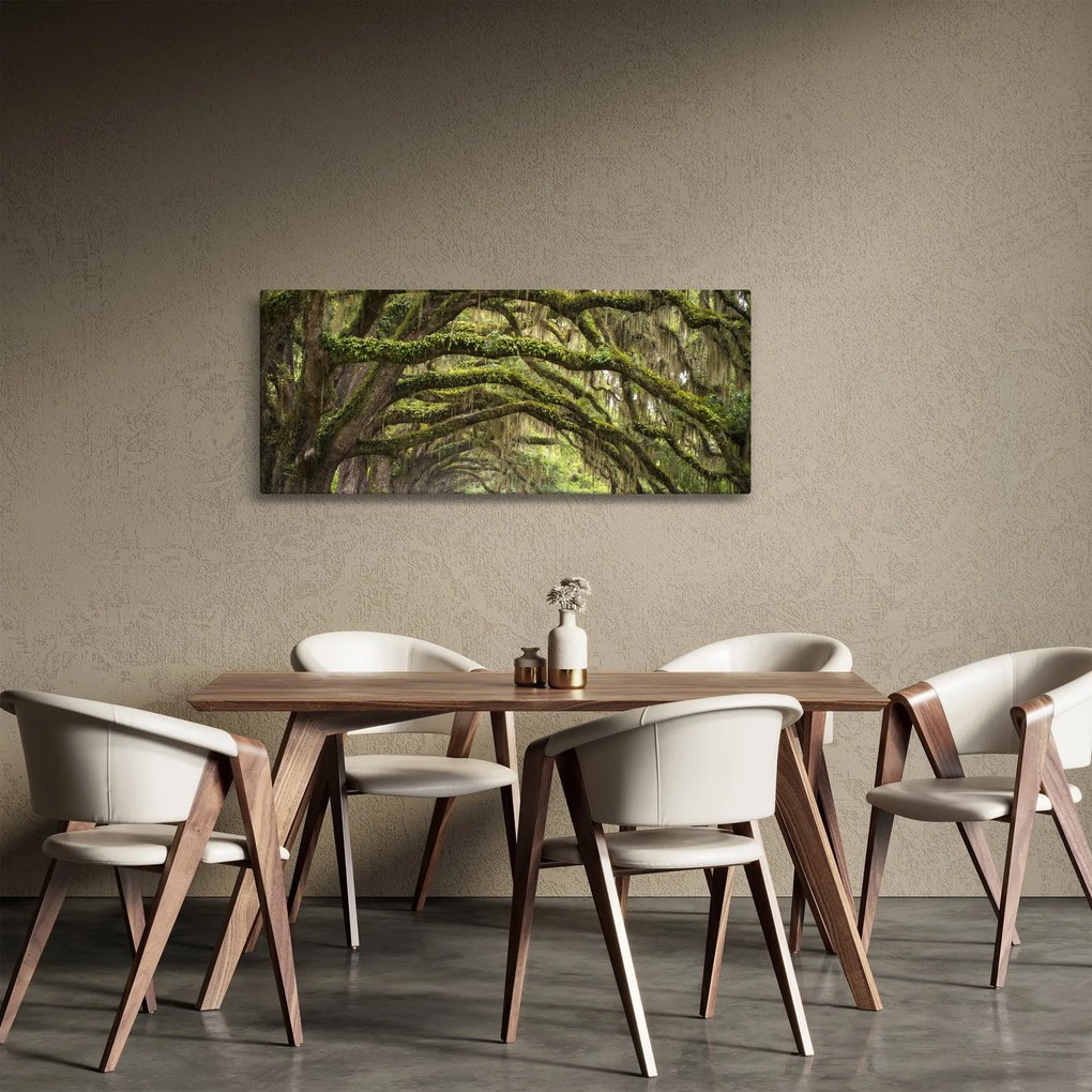 Kép - Oaks Avenue, Charleston, Dél-Karolina, Egyesült Államok (120x50 cm)