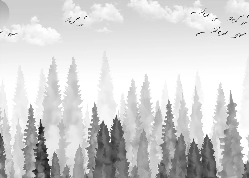 Kép - Erdei csúcsok (70x50 cm)