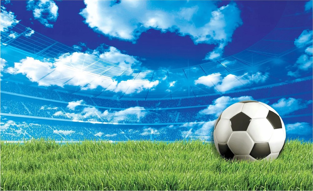 Fotótapéta Labdarúgó Stadion Energia Győzelem Dinamizmus 254x184 +ragasztó