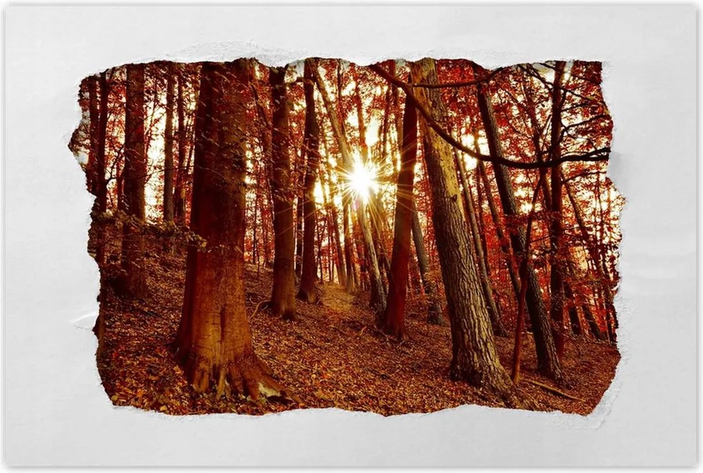 Poszterek 60x40 Tájkép Látvány