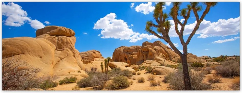 Fotótapéták flizelina 250x93 Sivatagi táj