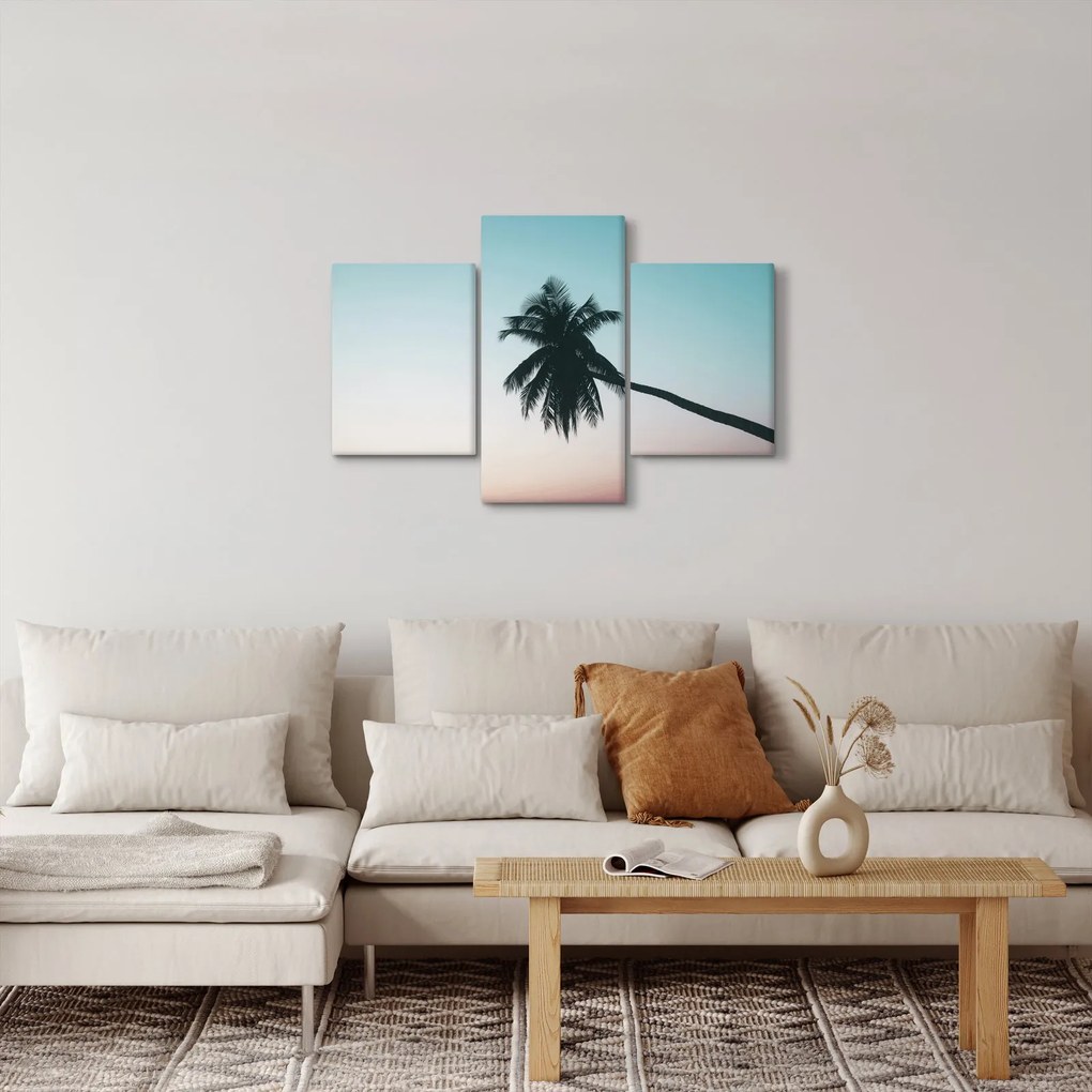 Kép - Pálmafa Balin (90x60 cm)
