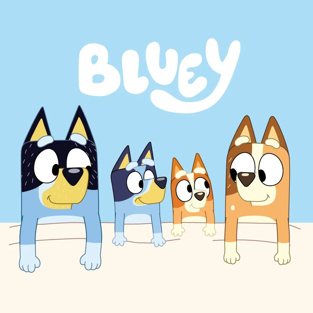 Bluey Cozy kéztörlő, arctörlő, törölköző 30x30cm
