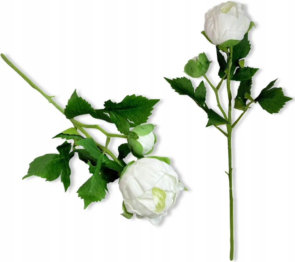 Bazsarózsa Hab Virágok Bazsarózsa Ágak Bazsarózsa Művirágok Váza