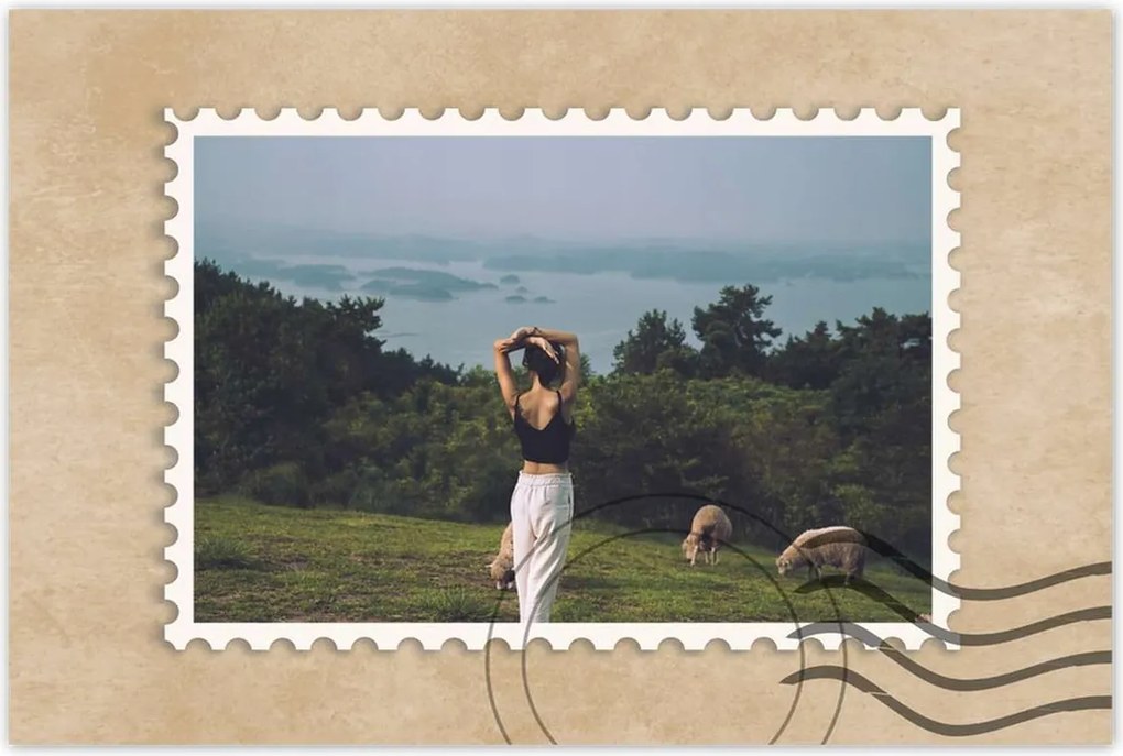 Poszterek 60x40 Juh legeltetés Bárányok