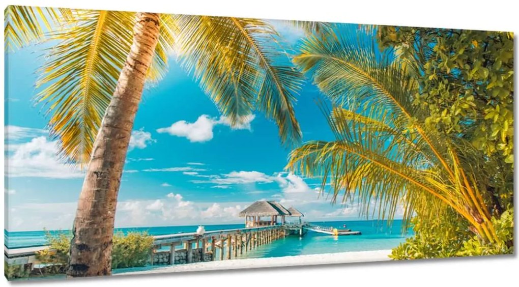 Vászonkép 115x55 Trópusok Tájkép Pálma