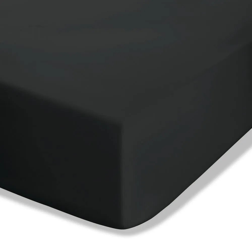 Fekete gumis perkál lepedő 90x190 cm Easy Iron Percale – Catherine Lansfield