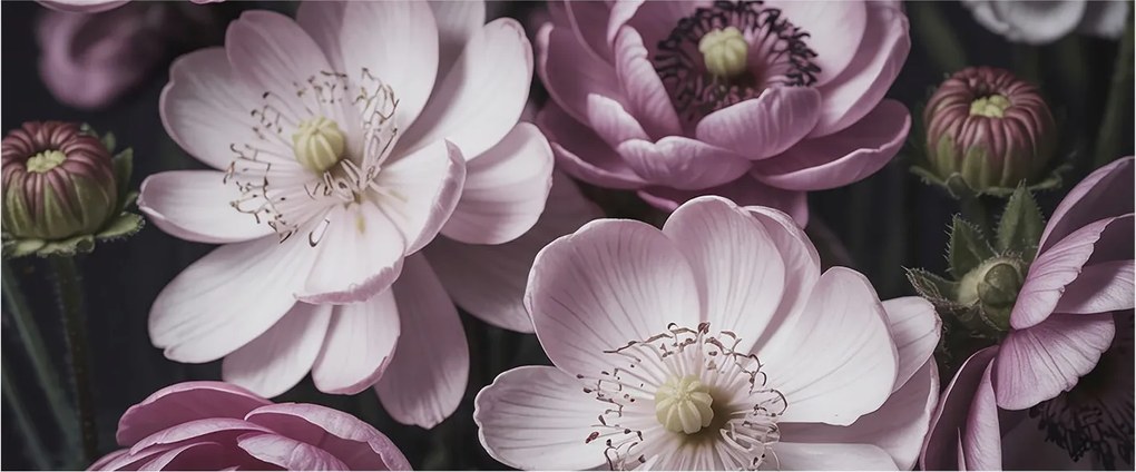 Fotótapéta Fali szett Virágos elegancia 250x104 Ragasztó