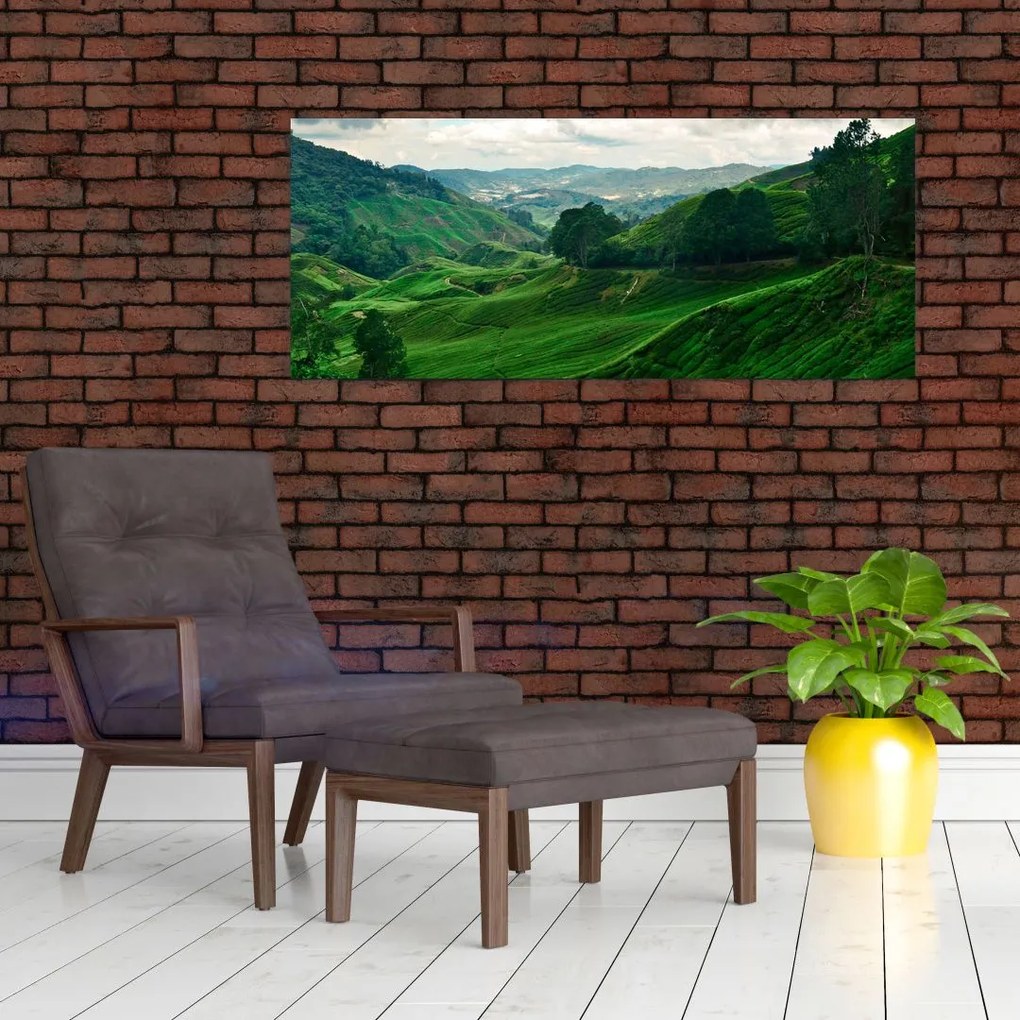 Kép - Teaültetvények Malajziában (120x50 cm)