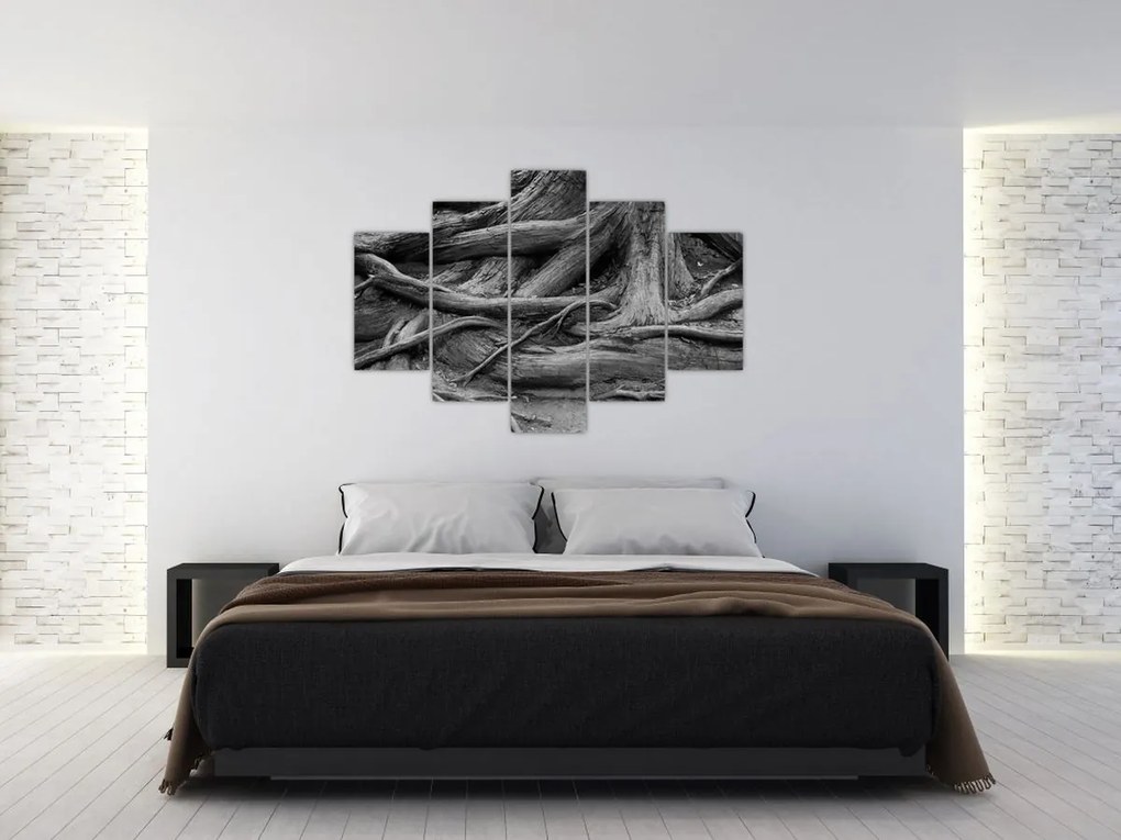 Kép - A fa gyökerei (150x105 cm)