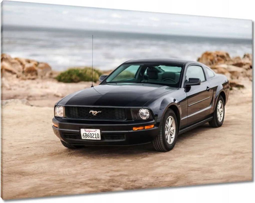 Képek 100x70 Fekete Ford Mustang