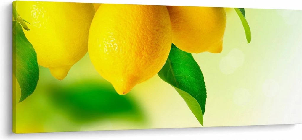 A citrom képe (120x50 cm)