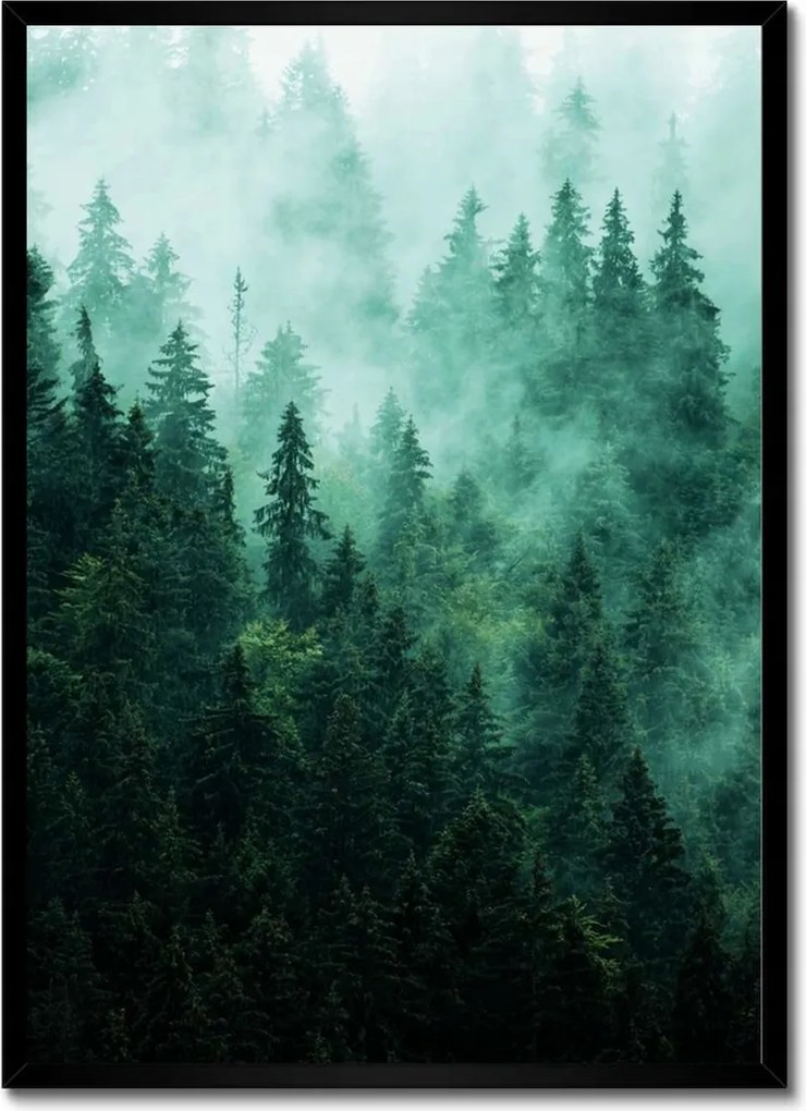 Poszter fekete keretben 50x70 Erdő Köd Tájkép Utazás