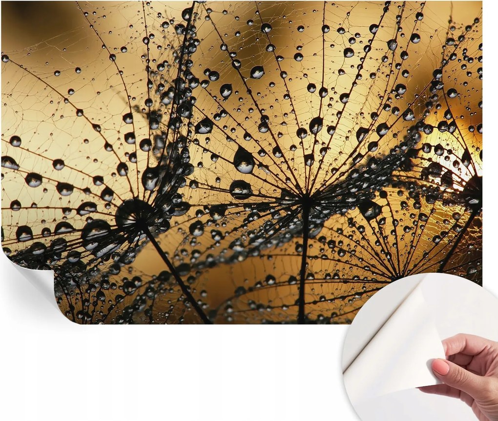 Öntapadós fotótapéta a konyhába Mosható Finom cseppek 104x70 cm