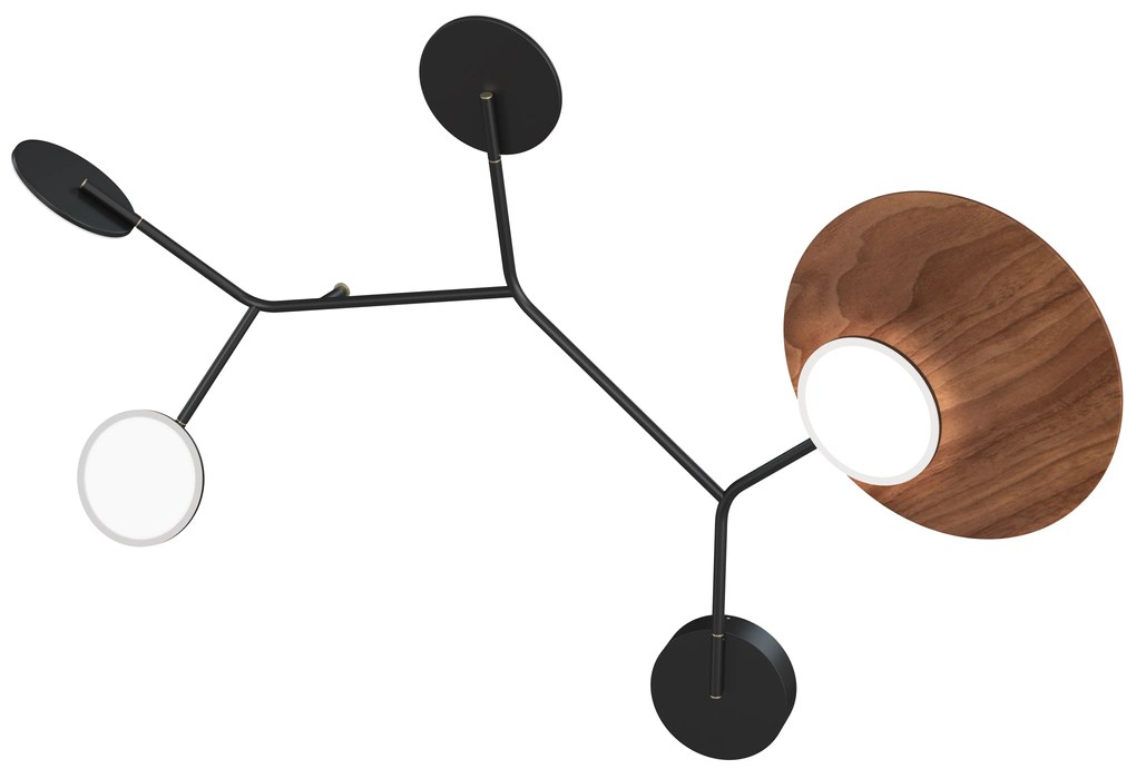 Ballon 5 B fali lámpa, többféle változatban - TUNTO Modell: fekete keret és burkolat, diófa rétegelt lemez panel