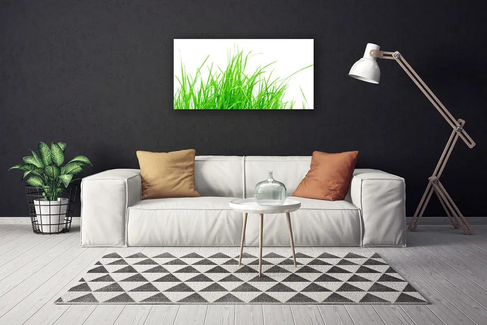 Vászonfotó fű növény 125x50 cm