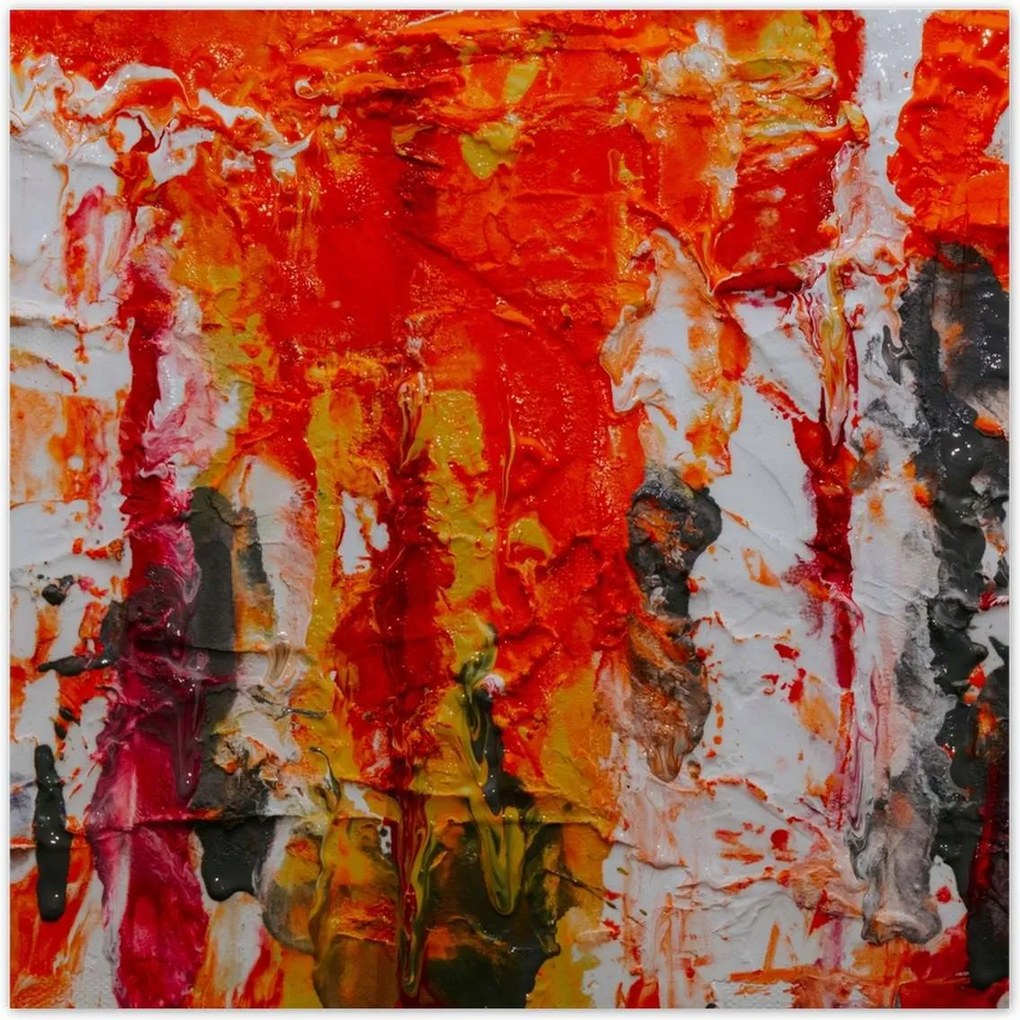 Poszterek 70x70 Nagy Medve