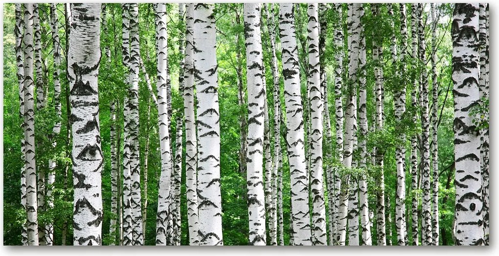 Üvegpanel konyhába Nyírfa 140x70 cm Ragasztó