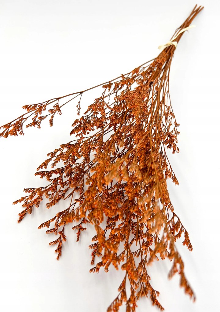 Limonium stabilizált Narancssárga, stabilizált virágok ,virágok a tortához