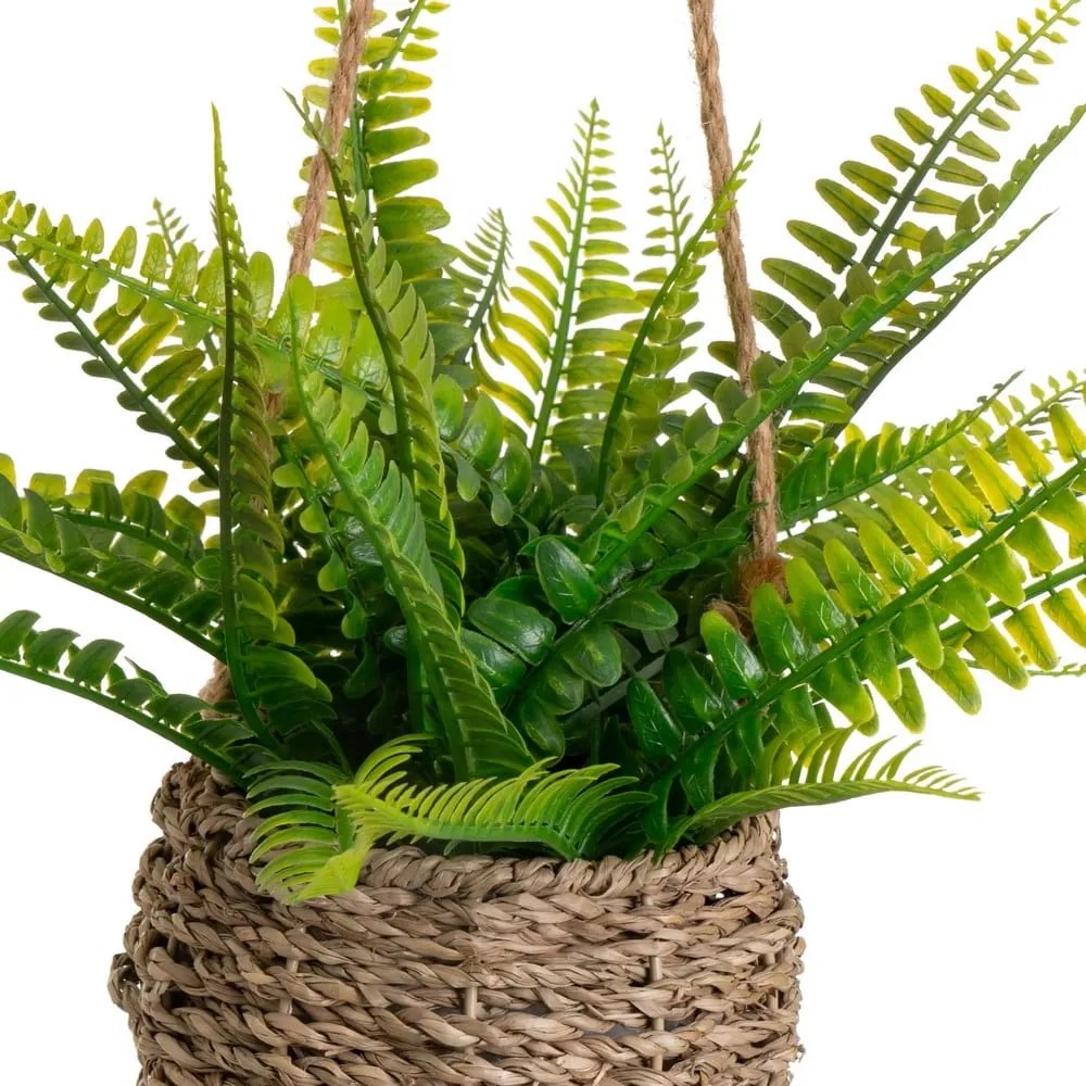 Haraszt műnövény (magasság 25 cm) – Casa Selección