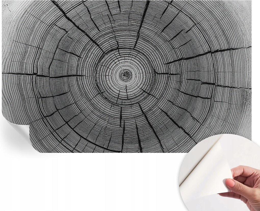 Fotótapéta Fali tapéta Hálószobába és Nappaliba Erdei harmónia 416x254 cm