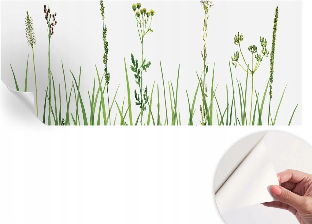 Fotótapéta Fali tapéta Hálószobába és Nappaliba Finom növényvilág 250x104 cm