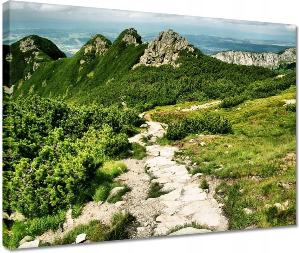 Vászonkép 40x30 Tátra Lengyel hegyek Kilátás