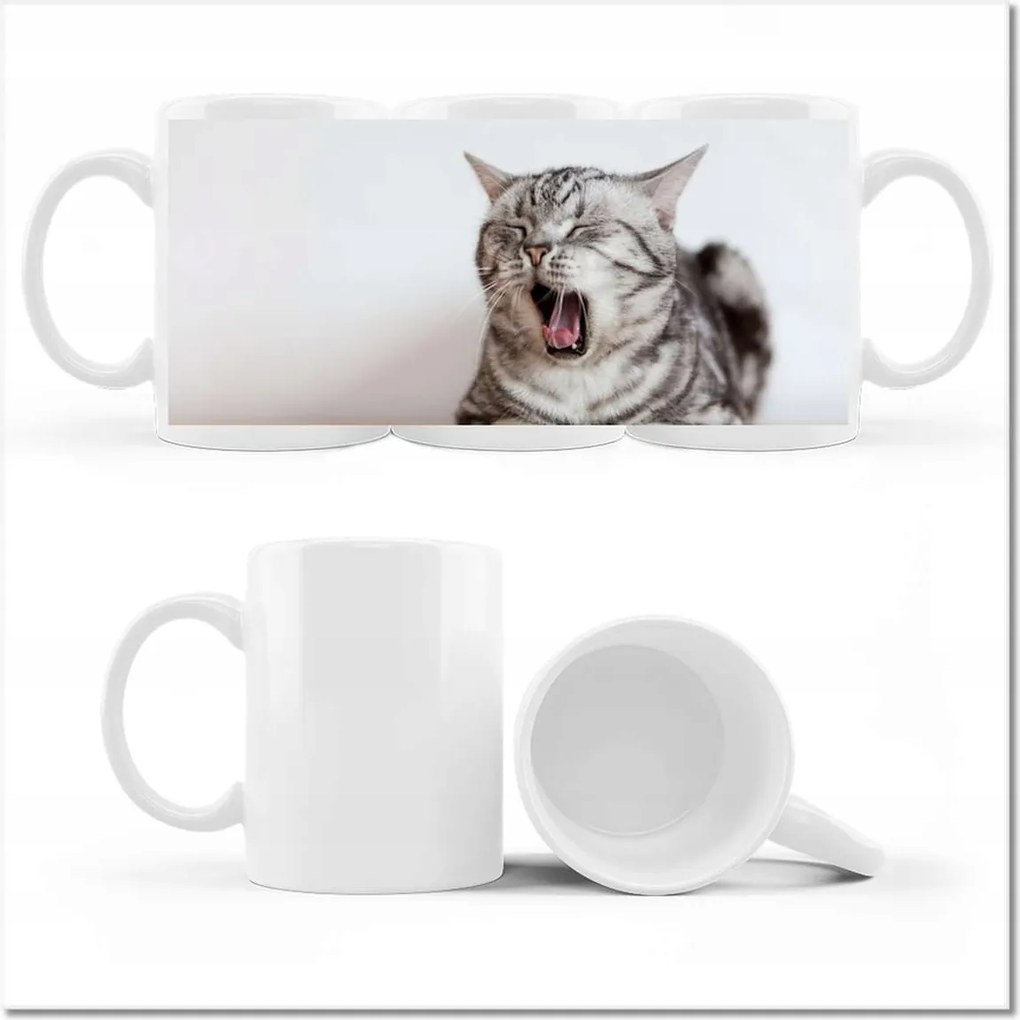 Cica fényképes bögre Cica