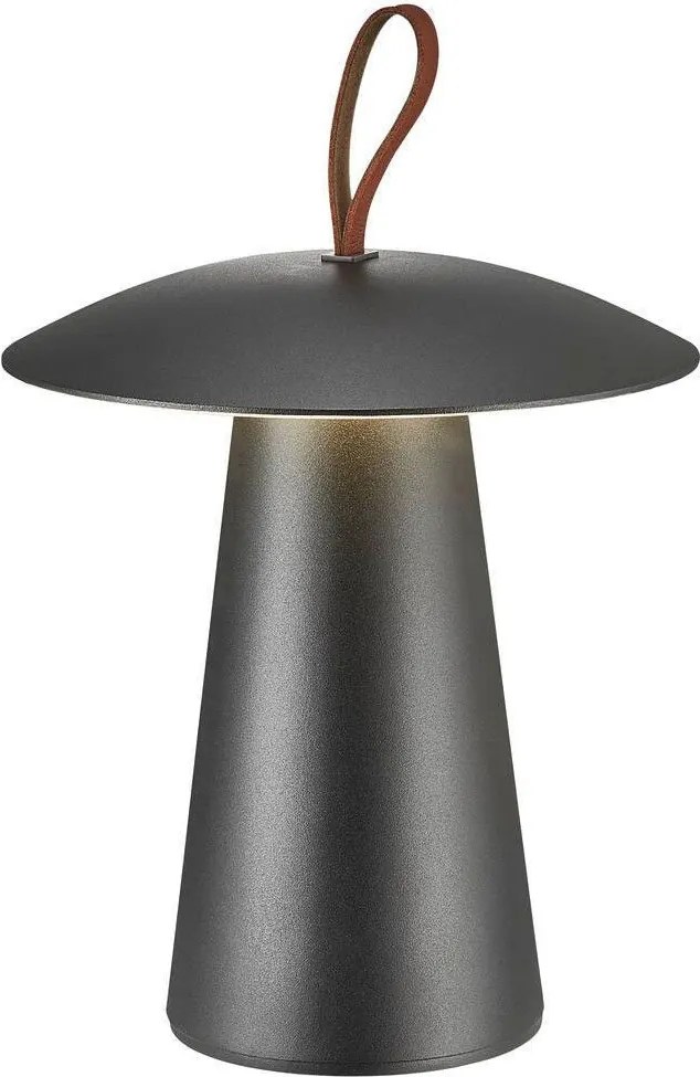 NORDLUX 2118245003 ARA Kültéri Dekorációs Lámpa LED IP54