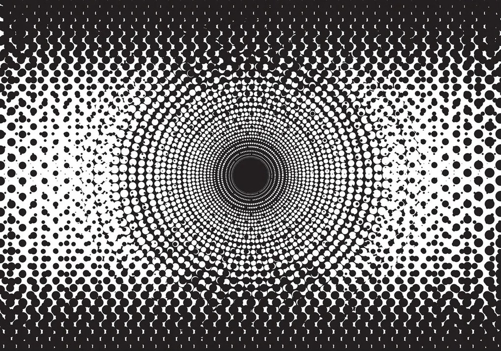 Fotótapéta flizelina Fekete fehér kerekek geometria modernség 368x254 +ragasztó